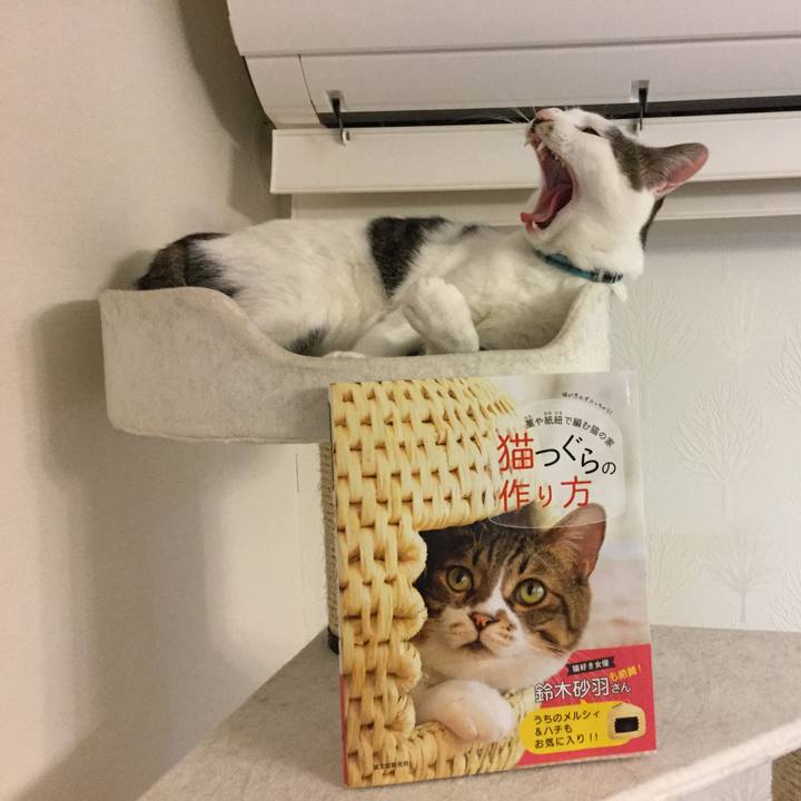 E71e8f16 7972 4dfc bf77 d96bab73714e 1517833944204