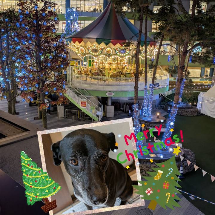 E71e9974 e1a2 4752 94af acbdc31ada39 1733483970910