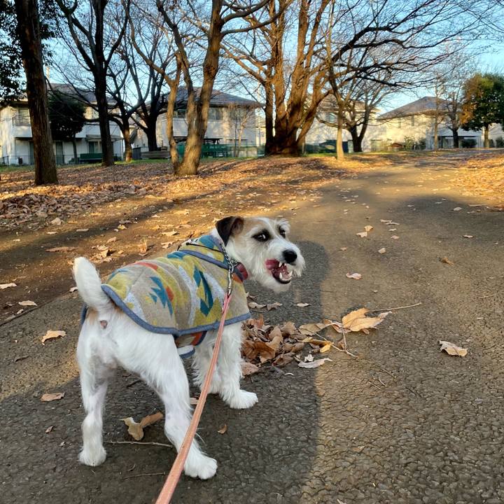 E71ec386 a763 4f00 b52b 2fe0e4206966 1671093544350