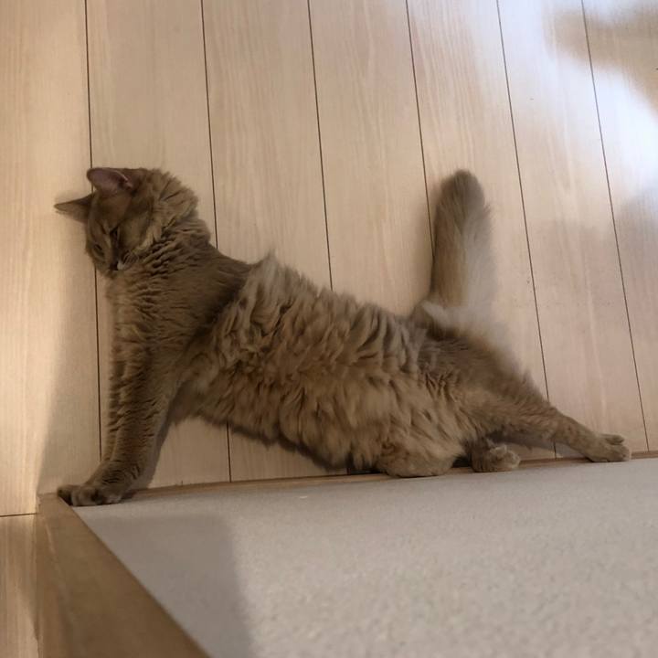 E71edc8c 98e2 42f8 953b 748f970e7543 1570112791541