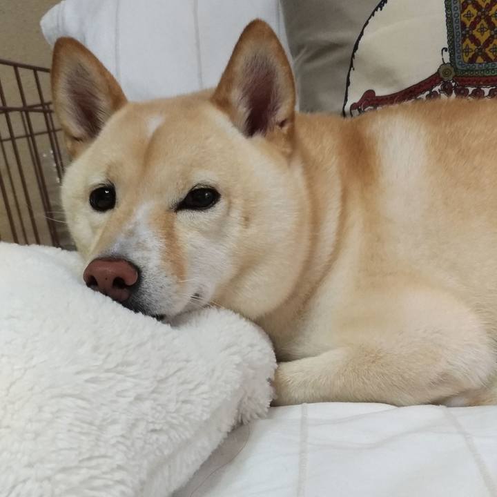 E71ee687 4413 482c 91f2 8ad86a2abd2b 1600215950362