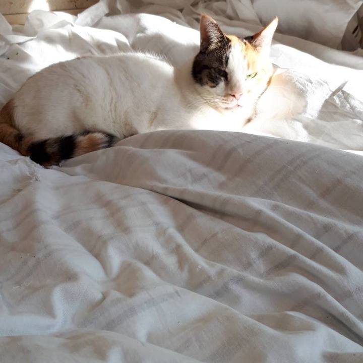 E71ee9cb a27b 48d5 97d8 bd401462b67f 1542264706419