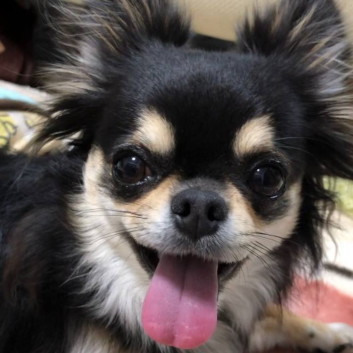 E71f639f 43ae 41d2 b889 4897aff271a9 1587967424864