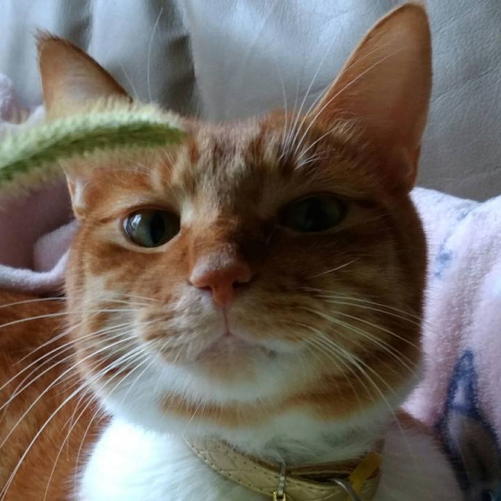 E71f9182 9d68 444a b8ae 2289c0d2323f 1568795923661