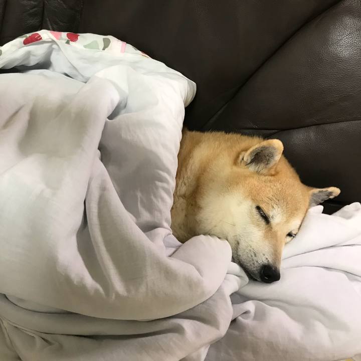 E71fb936 cb83 46a2 bf12 c7f9b11ab15d 1525956907667