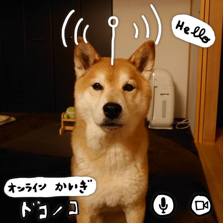 E71fd815 e66b 48f4 bff4 3e2c18c5c6d3 1590681196899