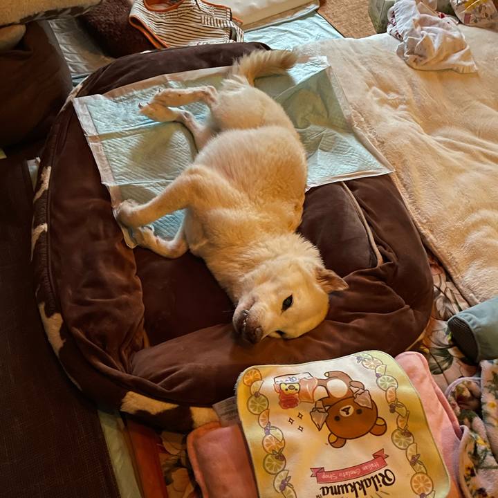 E71fe939 35e1 4aa7 9856 82d3f2d785fd 1676240430731