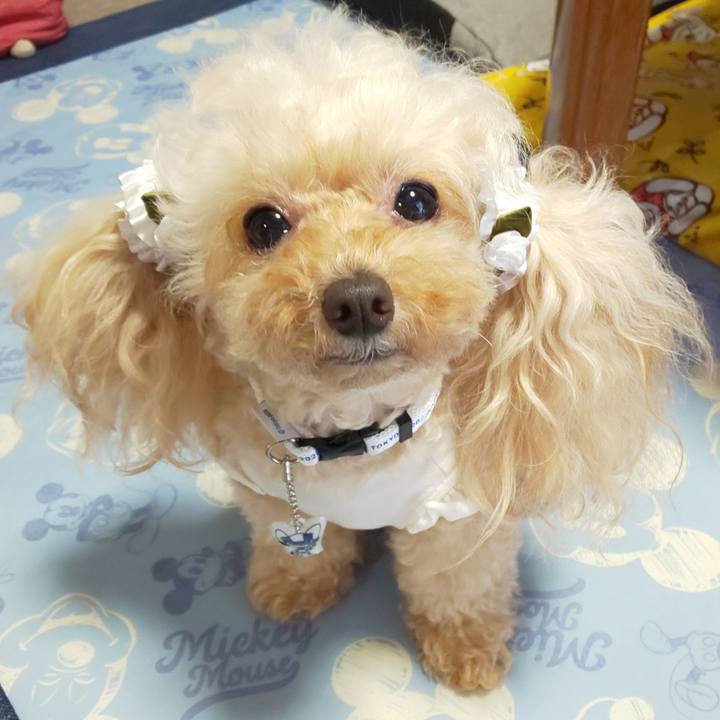 E71feb94 b38d 4cb6 87cb f88b73b87505 1627634234352