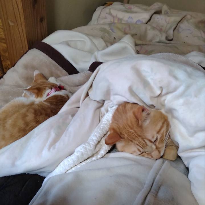 E72017a5 61db 4703 a174 98d2c0921e98 1743406527583