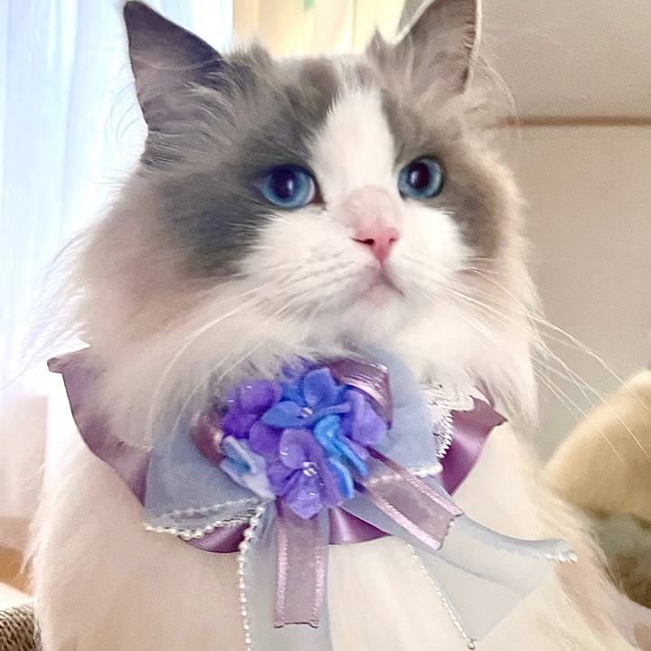 E7202543 774e 4e3d b3ce f458e1908c63 1686172355001