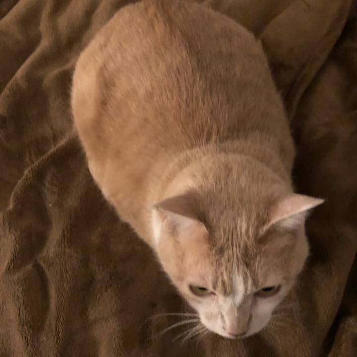 E7202f04 fbc3 43c2 840c db97c9a3371b 1520852924042