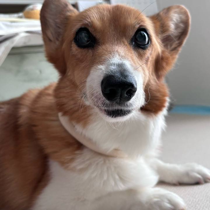 E7204afe cc76 4254 8048 f9a15893b0f4 1755332063174