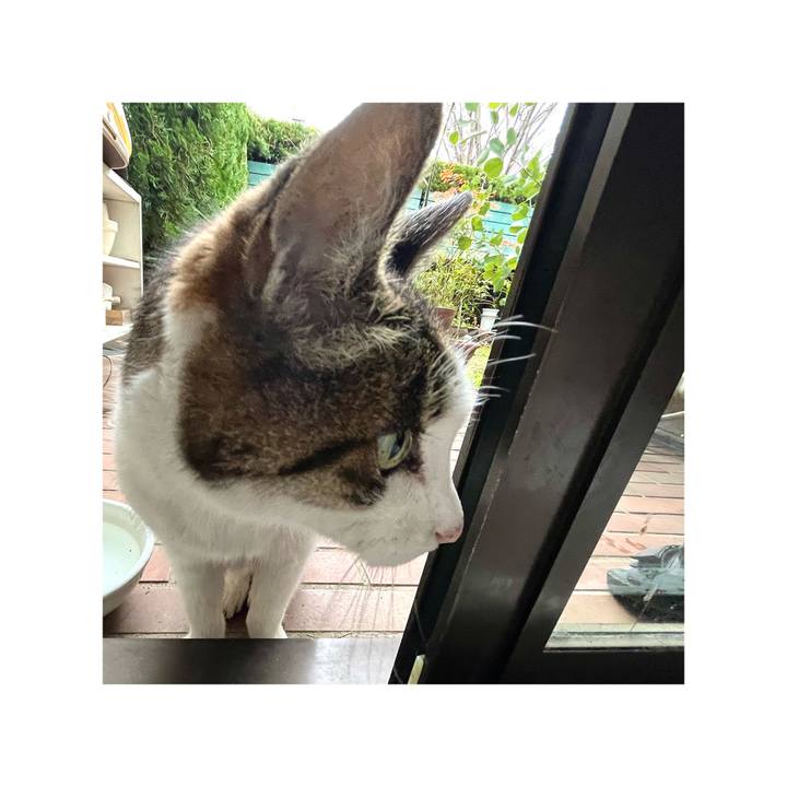 E7207e26 db8b 4c05 9434 1233317c3e7b 1670907506629