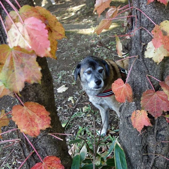 E7209a6a 251e 481a 8940 f561aed78649 1509846808733