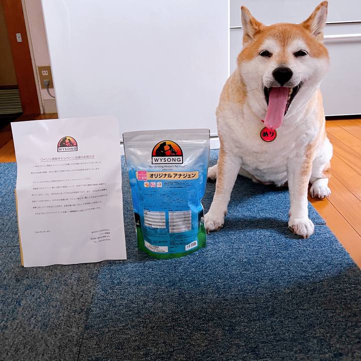 E7209ddf defa 4861 81e4 ac665585a414 1713323209855