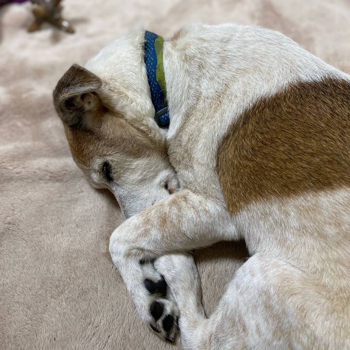 E720b329 7e0f 4458 a594 951e32fc8d69 1679579377694