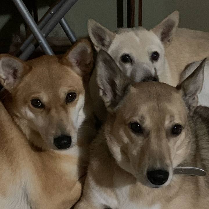 E720cd5e c63f 4e1c 8fc7 16624407d025 1608437315507