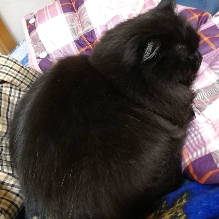 E720d5aa 44b4 4d10 8aa8 6bf028af237d 1519734916908