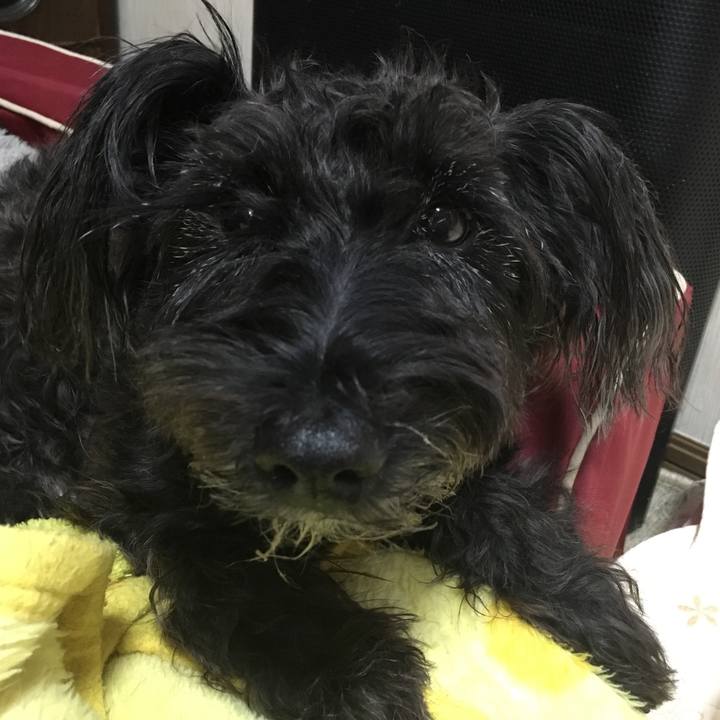 E720ea93 5c12 488a b179 9fb424eea8bd 1511401654048