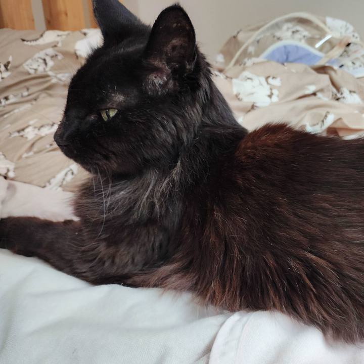 E7213ff1 a965 49ed 859c 7ce94ec77ac6 1775518018680