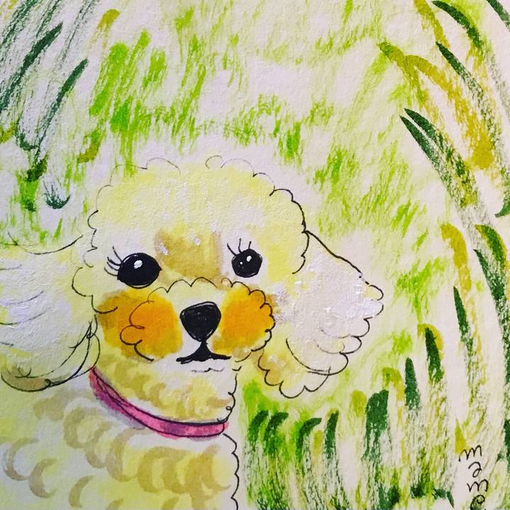 E721ab7a 76be 4bdc adb1 43d3df5ed47d 1617890168899