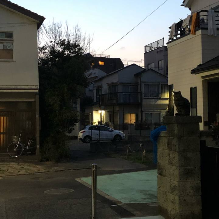 E721cc8f 640e 436d b33b 0c602dade54b 1552944755746