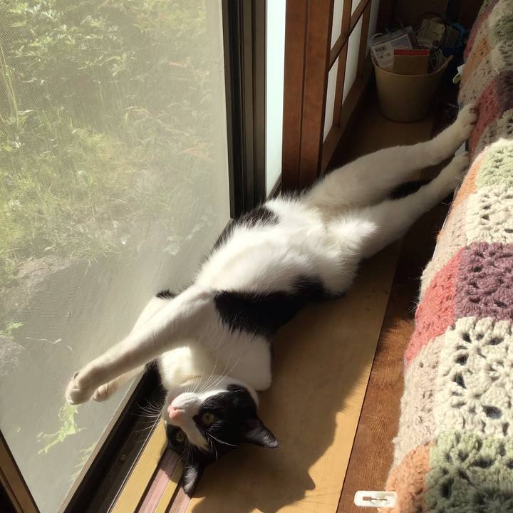 E721f9ed 072f 4d4a acfe 408db5ba73a1 1650845847881