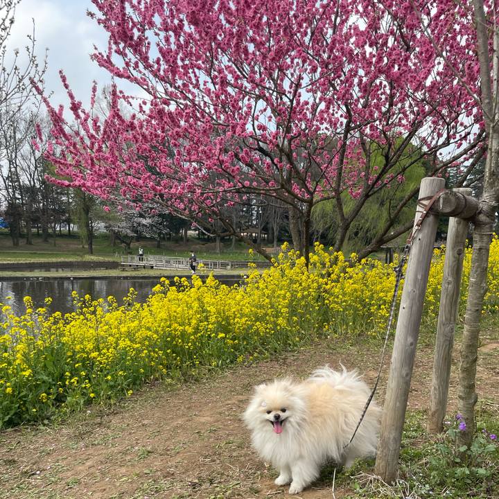 E72243ff e110 4e29 bd10 988c417f49c9 1648684646559