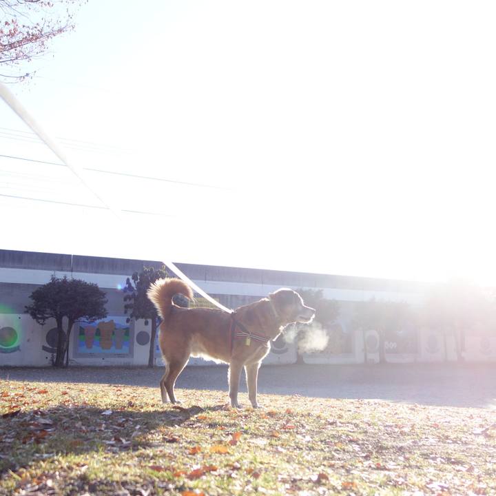 E72269b4 6d7c 424a 8d3c 29dde8886fe6 1549070710360