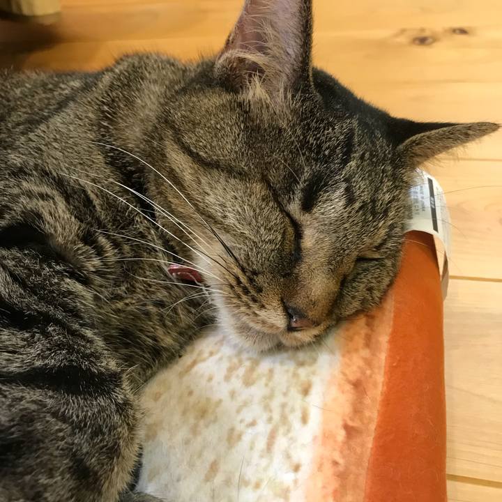 E72284af 84b1 4719 9ebb 5e51a01556fc 1530794200792