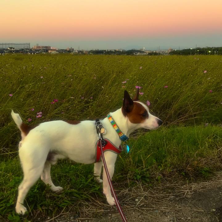 E7229169 d790 49d2 b686 bdf52e1e2579 1509010537117