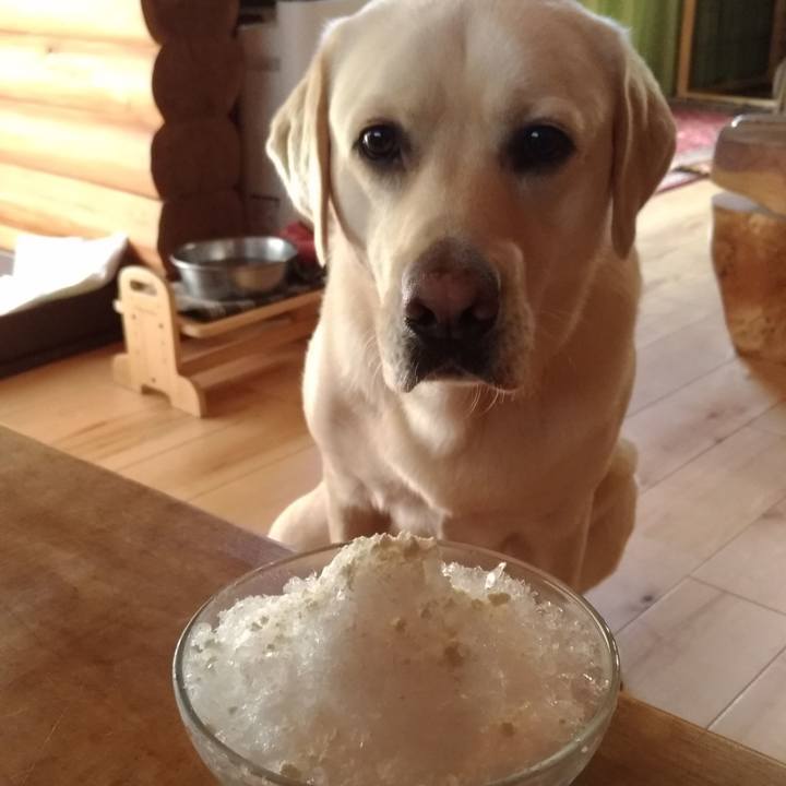 E7229ba7 c5b2 4b04 87d2 458edf9cfa65 1535253741206