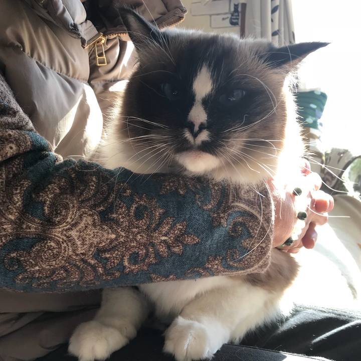 E7229cf5 2cfc 46fb 9b8a 154e4f415ee7 1514893675533