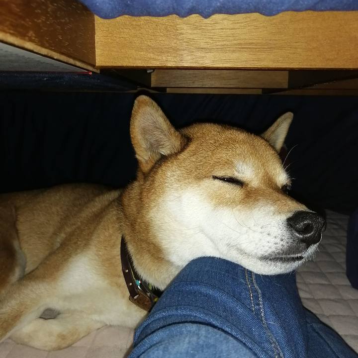 E722a30c 0463 4cfd 8575 b05582cd9e7e 1610190182437