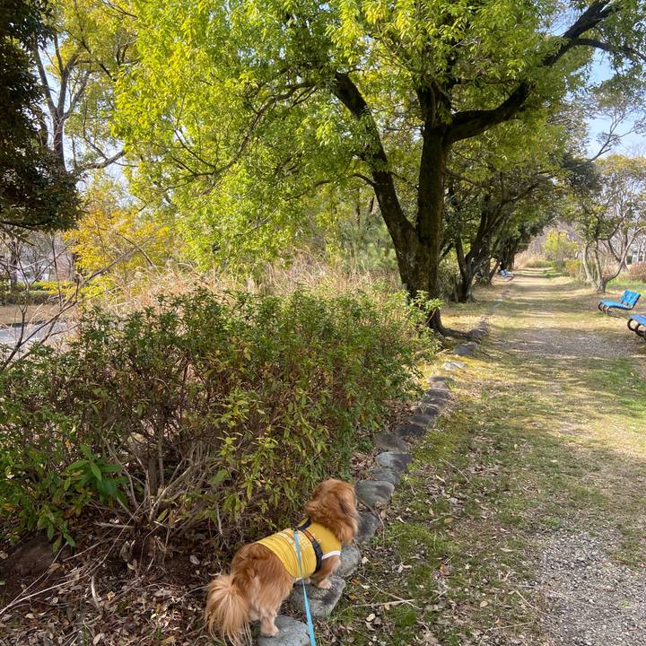 E722ddd3 1274 45b5 a9d2 c9855dd015e5 1616200627736