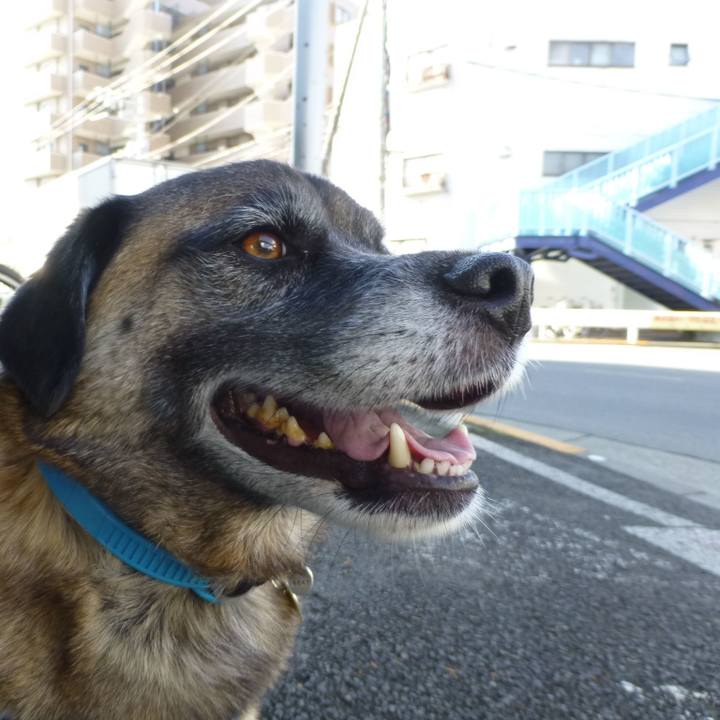 E72304d1 e978 4bdf 969d 15eaff30c792 1579267838208