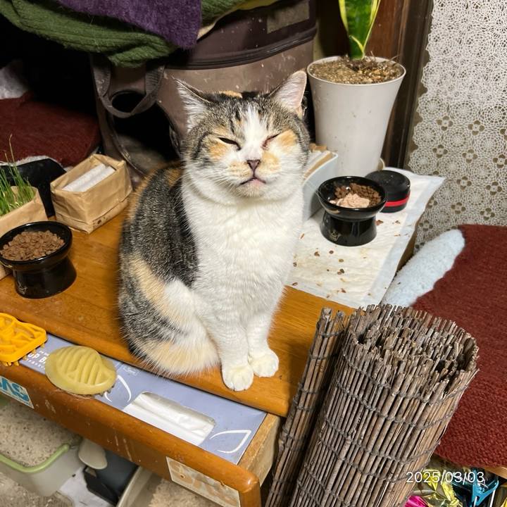 E7232c83 ecdc 4966 b25b d35448921bee 1740952232718