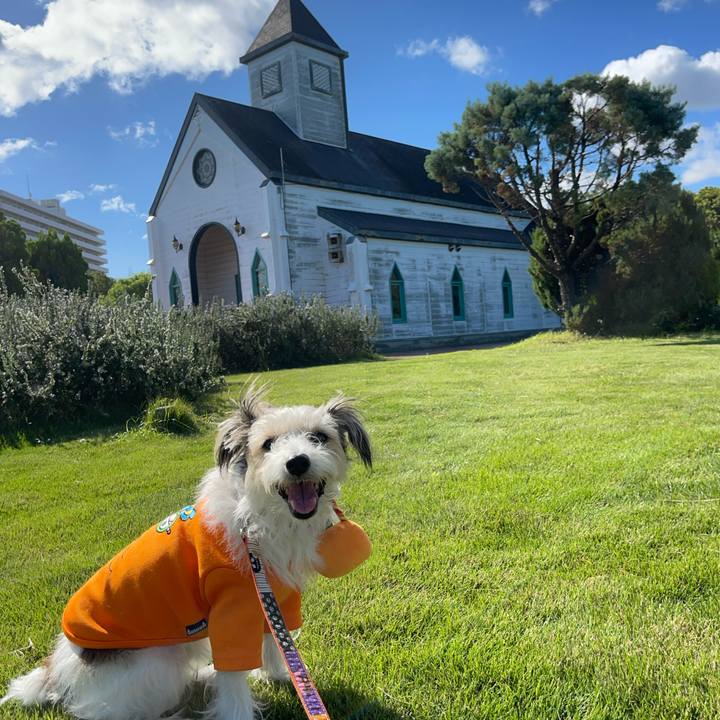 E723a1d7 9a99 42da a276 8ef87d92be6b 1760701630558