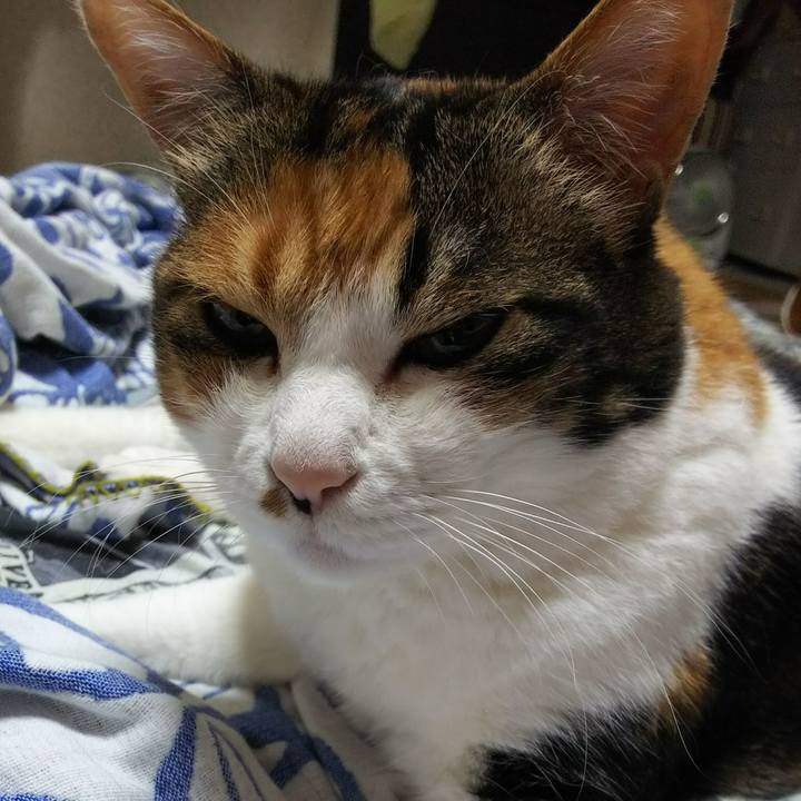 E723fb2c aba4 440f b094 2f35f600207d 1528590313754