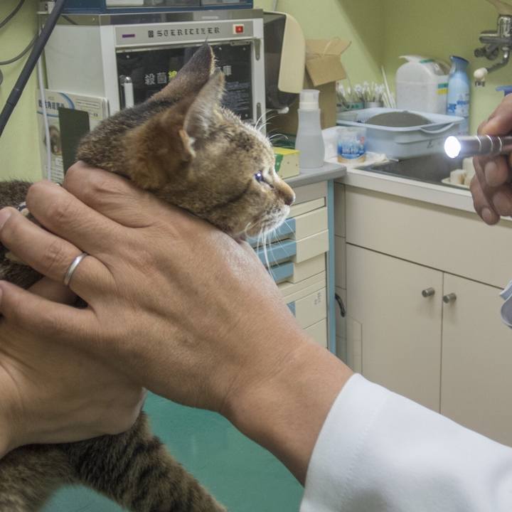 E724098e 8c92 44e0 96d5 9f9e1749ad88 1526513496450