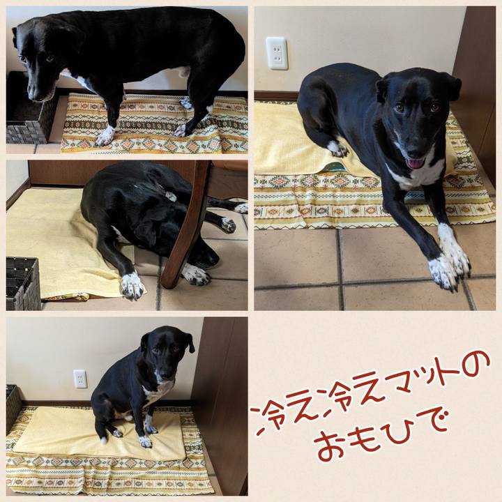 E7242cce a859 4216 a1b7 e7972cb253e4 1658230242141