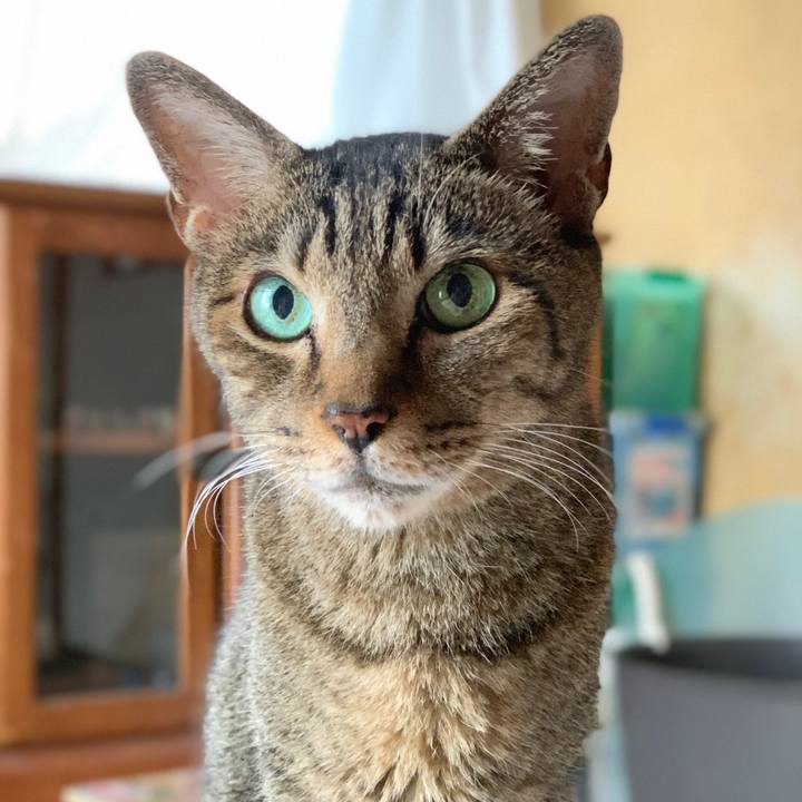 E7248a65 5d0a 4f9b b1bd 30280dd1fb5c 1601082108233