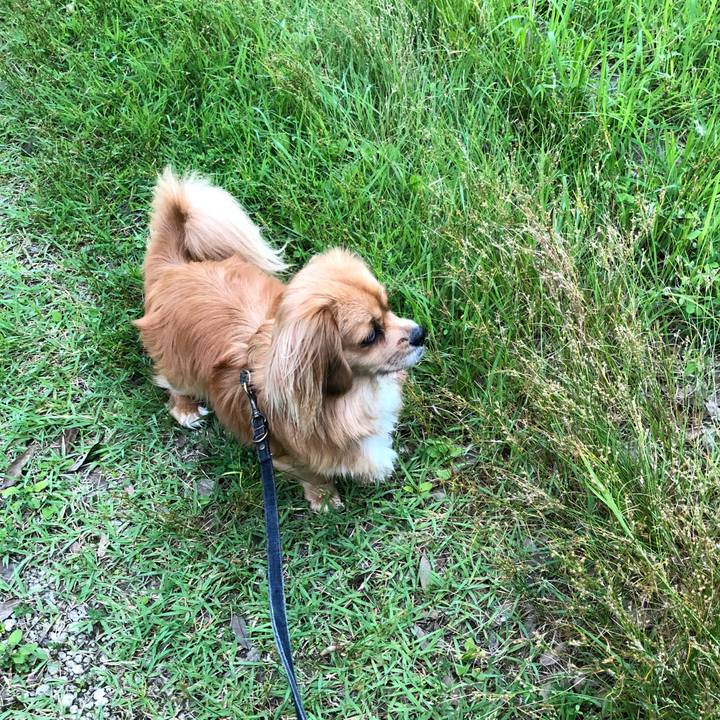 E72515cb a5c8 4dfb 8c90 735af1abdf2d 1529010698216