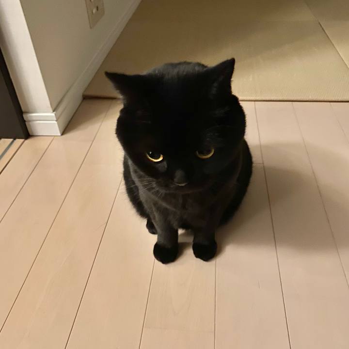 E7256d00 7179 4c35 91fd 33b00b5b8af6 1675600969762