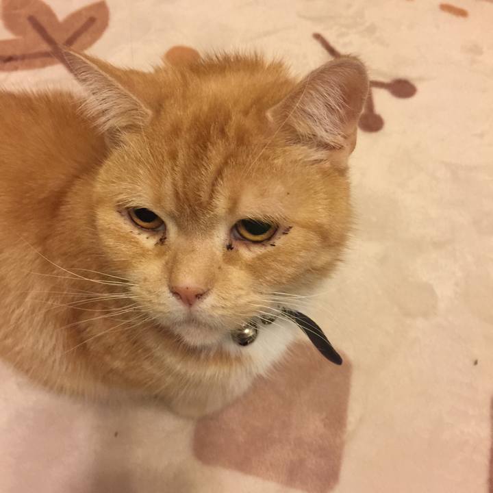 E72581af c017 4a20 becf 406d390e63e1 1550242908156