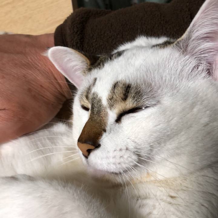 E725aae5 57e6 4d2e a0a9 6731622f729e 1519210614924