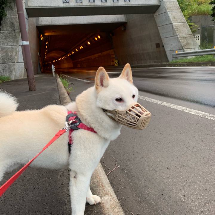 E725d0f2 5391 4b3a 9923 9802fbb5d4c4 1567290162489