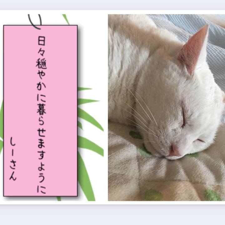 E725db5c 6585 4b92 b9b8 d069534661d5 1531003293872