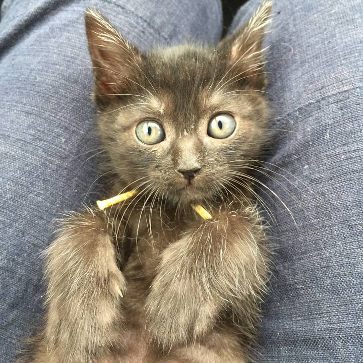 E725e83d 7242 454d bfc4 e7fa96e1651c 1556512664169