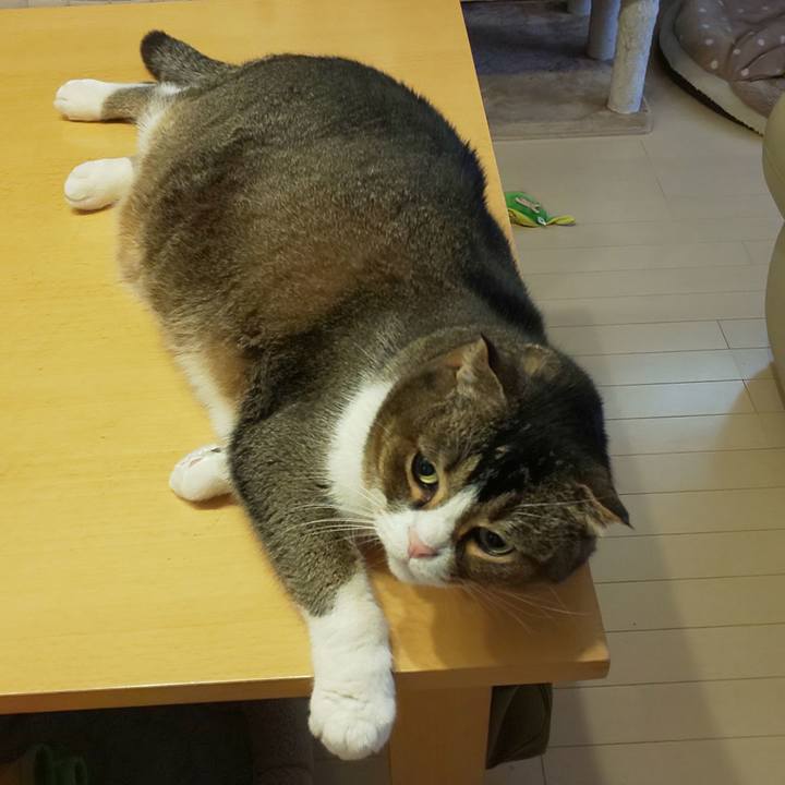 E725e99b 07ba 4134 8939 a3b34f529216 1712016246300